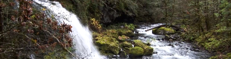 Steep Creek Falls, Washington